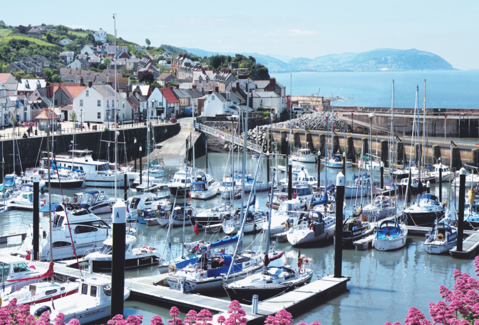 The new owner of Watchet Marina could be offered a 200 year lease