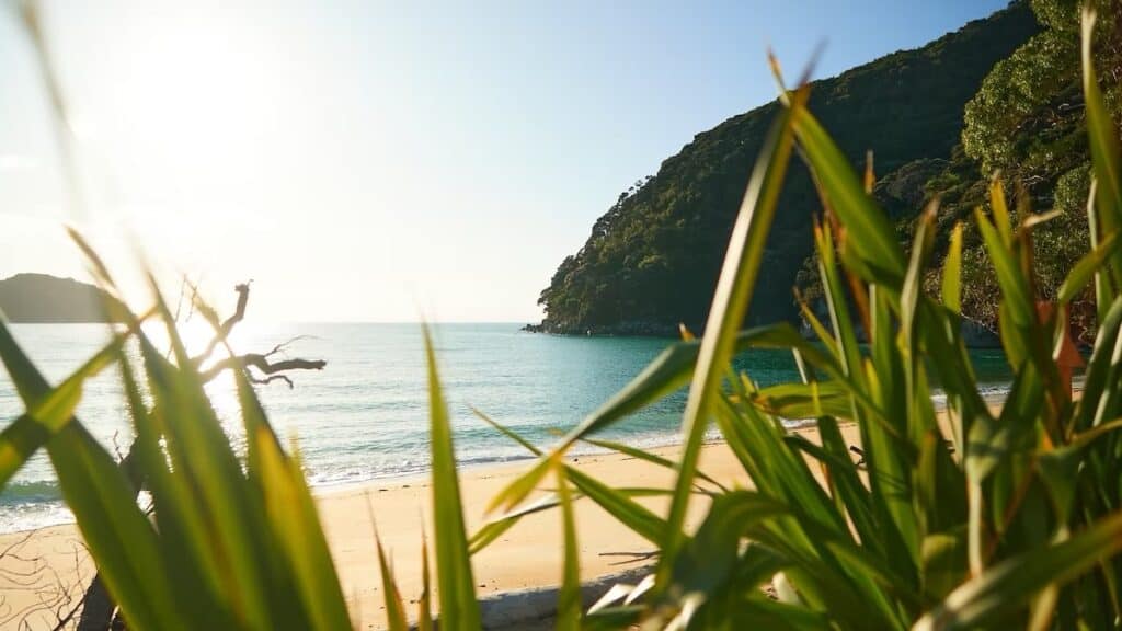 Regenerative composite developed in world first