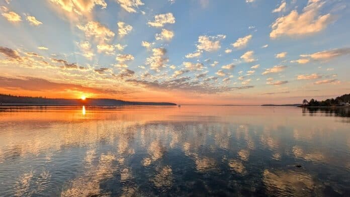 SMG appointed by Renology