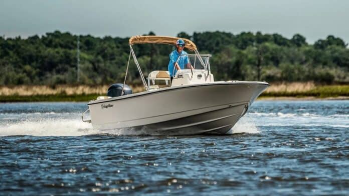 Nimbus net sales decrease 14%