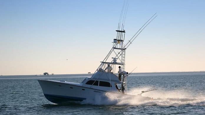 Tell NOAA to modernise its outdated vessel speed rule