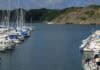 Fantasi Marinas launched by AMAVI Fantasi Marinas launched by AMAVI