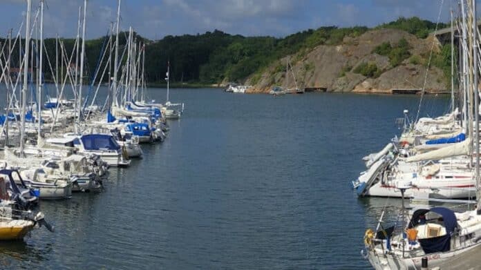 Fantasi Marinas launched by AMAVI