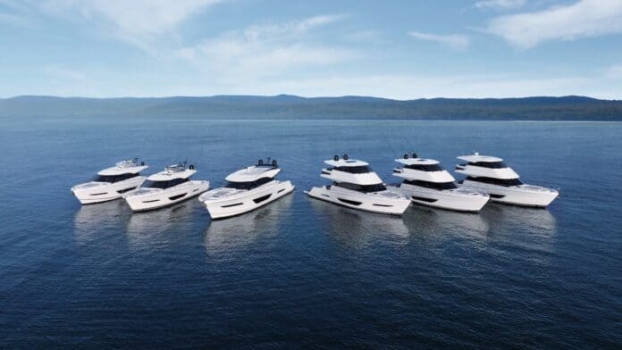 Maritimo appoints exclusive dealers